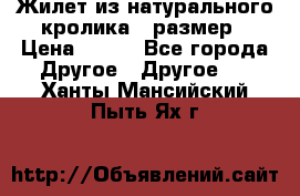 Жилет из натурального кролика,44размер › Цена ­ 500 - Все города Другое » Другое   . Ханты-Мансийский,Пыть-Ях г.